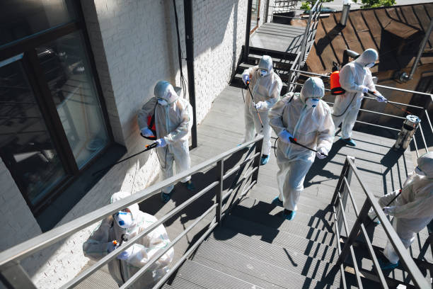Best Environmental Consulting for Mold Prevention  in Silver Springs, FL