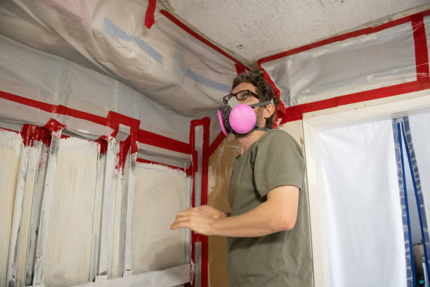 Best Residential Mold Inspection & Testing  in Silver Springs, FL