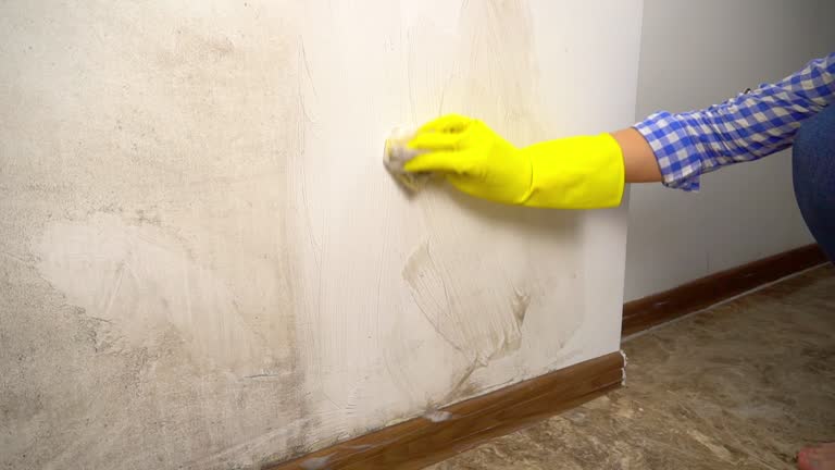 Mold Removal for HVAC Installations in Silver Springs, FL