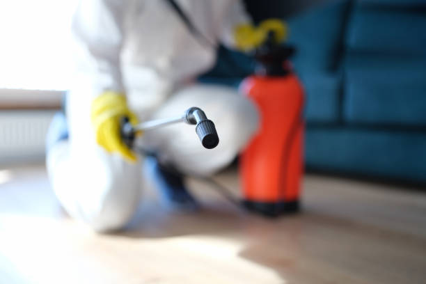 Best Mold Odor Removal Services  in Silver Springs, FL