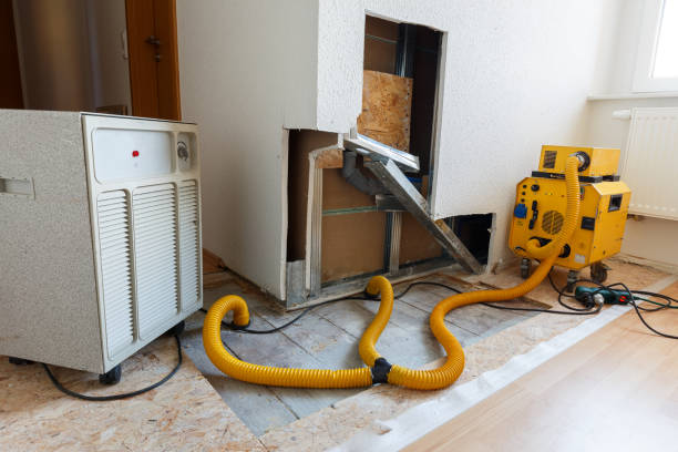 Best Asbestos and Lead Testing During Mold Inspection  in Silver Springs, FL
