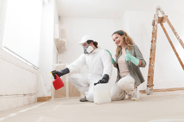 Best Industrial Mold Remediation  in Silver Springs, FL