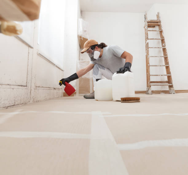 Best Post-Construction Mold Inspection  in Silver Springs, FL
