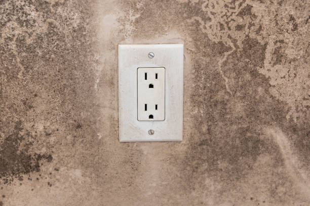 Best Dehumidification Services  in Silver Springs, FL