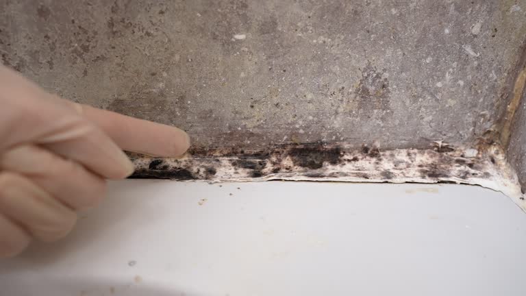 Best Mold Prevention Services  in Silver Springs, FL
